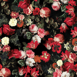 Tkanina dekoracyjna TULIPA VELVET Tkanina dekoracyjna TULIPA VELVET