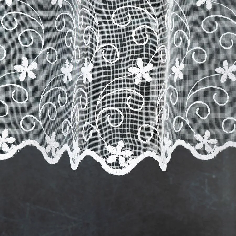 Zazdrostka haftowana 908958