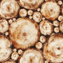 Tkanina dekoracyjna wodoodporna PIEŃKI