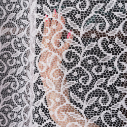 Firanka żakardowa ze wzorem po całości 004542