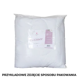 DREAMY ZIMOWA DUO Kołdra z wypełnieniem silikonowym, rozmiar 160x200cm KOLDRA