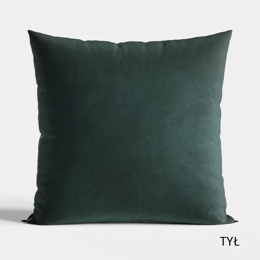 PIES HEKTOR Poszewka dekoracyjna VELVET, 40x40cm, kolor 001 P00147