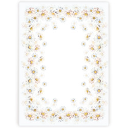 STOKROTKI Obrus NINA WODOODPORNA, listwa 110x160cm, kolor 001 P00206