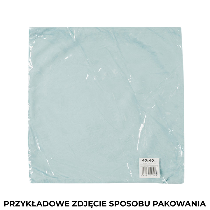 MILLY Z EFEKTEM WYSZYWANIA Poszewka dekoracyjna ADA 40x40cm, kolor 004 beżowy 