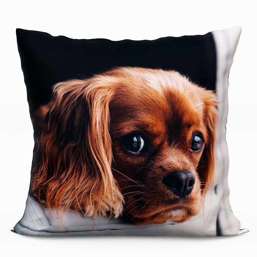 PIES Poduszka z wypełnieniem silikonowym dwustronna MICROFIBRA, 40x40cm, kolor 001 (do wyczerpania zapasu)