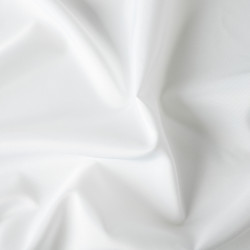 GARDENIA Zasłona gotowa na przelotkach, szerokość 140cm x wysokość 250cm, kolor 050 biały